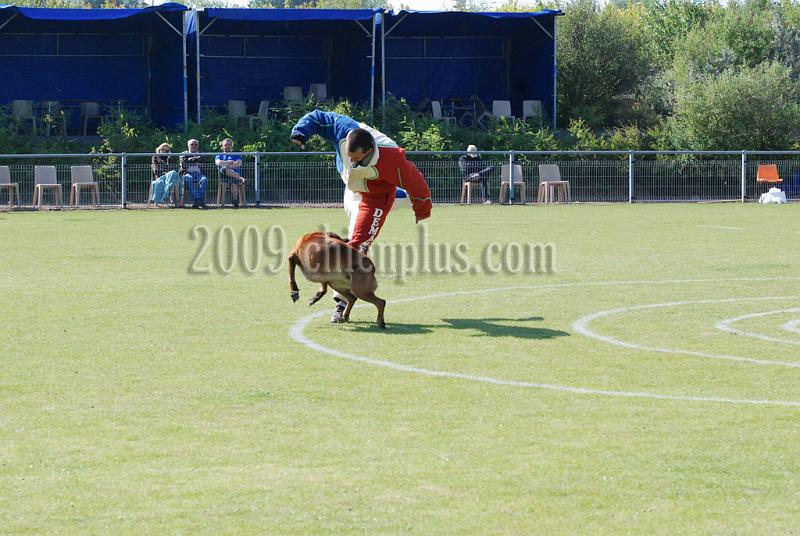 3 EME SELECTIF 2009 GRANDE SYNTHE 224.jpg